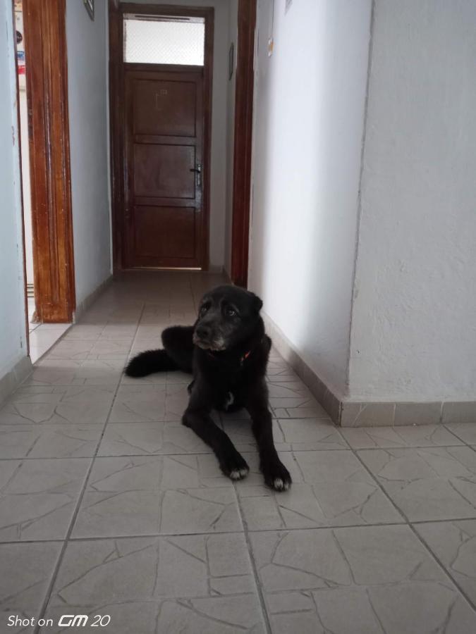 Hzd Apartments Hostel Fethiye Luaran gambar